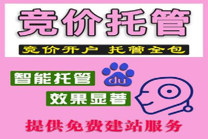 揭秘：成功SEM推广代运营公司案例解析